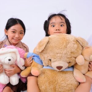 Huggable Teddy Collection