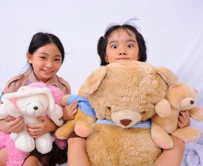 Huggable Teddy Collection